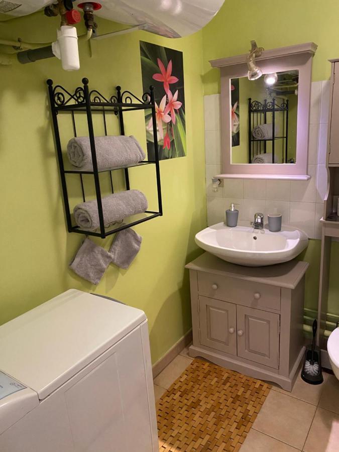 Appartement Cosy Avec Jardin Privatif Et Garage 퐁텐블로 외부 사진